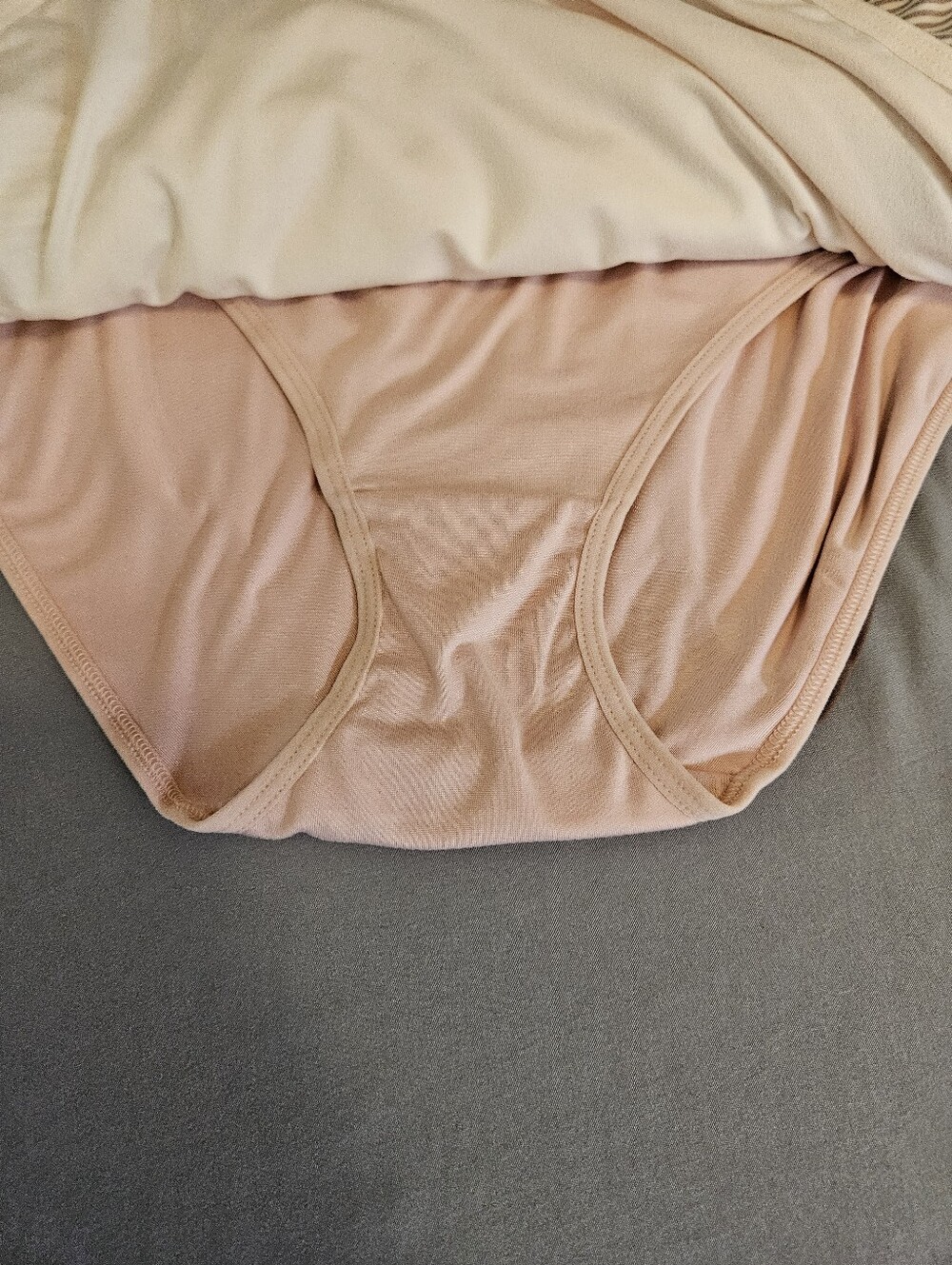 NWT Laura Ashley Women's Brief Underwear Pack of 7 Floral Multi, Size XL - Picture 10 of 11